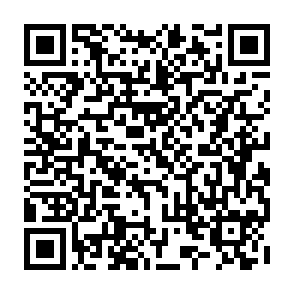 Survey QR Code